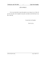 Một số giải pháp nâng cao hiệu quả sử dụng vốn lưu động của công ty TNHH một thành viên than nam mẫu  