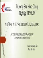 mô hình toán trong môi trường