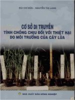 Cơ sở di truyền tính chống chịu đối với thiệt hại do môi trường của cây lúa 