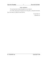 Vốn kinh doanh và một số giải pháp nhằm nâng cao hiệu quả sử dụng vốn kinh doanh tại công ty cổ phần cồn rượu hà nội 