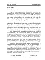Đánh giá tình hình tài chính và biện pháp nâng cao hiệu quả hoạt động kinh doanh của công ty cổ phần đầu tư và xây dựng thép việt 