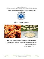 BÁO cáo VI SINH DT3 VSV lên MEN HIẾU KHÍ