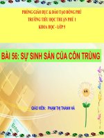 sự sinh sản của côn trùng lớp 5