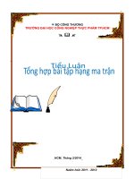 Hệ thống bài tập hạng ma trận (giải chi tiết)  Toán A3C3
