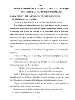 TỔ CHỨC CƠ SỞ ĐẢNG VÀ NÂNG CAO NĂNG LỰC LÃNH ĐẠO, SỨC CHIẾN ĐẤU CỦA TỔ CHỨC CƠ SỞ ĐẢNG