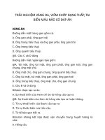 TRẮC NGHIỆM VÀNG DA, VIÊM KHỚP DẠNG THẤP, TAI BIẾN máu não có đáp án