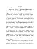 DHTT trong môn toán ở trường THPT qua chủ đề PT và BPT