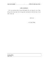 Hoàn thiện quy trình và phương pháp kiểm toán khoản mục tài sản cố định trong KT BCTC do  công ty TNHH  AASC thực hiện  