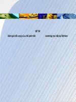 Slide đánh giá triển vọng và xu thế phát triển marketing trực tiếp tại việt nam