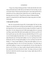 Đòn bẩy tài chính và một số giải pháp nhằm nâng cao hiệu quả sử dụng đòn bẩy tài chính tại công ty  tnhh sx kdkim khí tân minh 