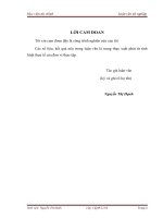 Hoàn thiện quy trình kiểm toán chi phí bán hàng và chi phí quản lý doanh nghiệp trong kiểm toán BCTC tại công ty TNHH kiểm toán và tư vấn đầu tư tài chính châu á 