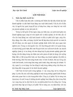 Giải pháp nâng cao hiệu quả sử dụng vốn lưu động tại công ty cổ phần vật tư nông sản 
