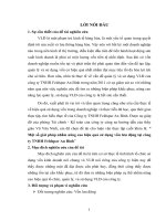 Một số giải pháp nhằm nâng cao hiệu quả sử dụng vốn lưu động tại công ty TNHH feldspar an bình 