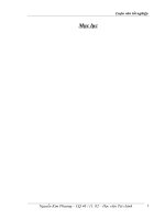 Đòn bẩy tài chính  nâng cao hiệu quả sử dụng đòn bẩy tài chính tại công ty tnhh sản xuất và thương mại bình quân 