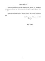 Biện pháp hoàn thiện công tác quản trị nhân lực tại công ty TNHH MTV môi trường đô thị hải phòng  