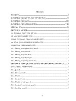 Hoàn thiện cơ cấu tổ chức bộ máy quản lý tại công ty cổ phần lắp máy điện nước và xây dựng 1