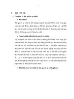 Vấn đề độc quyền tại Việt Nam