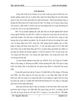 Tổ chức công tác kế toán nguyên vật liệu tại công ty cổ phần đầu tư xây dựng và thương mại HBC 