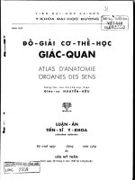 Đồ giải cơ thể học giác quan atlas d’anatomie organes des sens