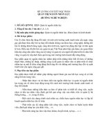 đề cương cao học nghề nghiệp