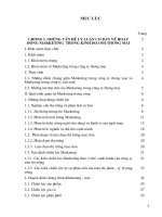 Phân Tích Và Đánh Giá Hoạt Động Marketing Đối Với Sản Phẩm Dịch Truyền Của Công Ty TNHH Sông Nhuệ Trong Thời Gian Qua