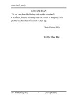 Hoàn thiện công tác thẩm định các dự án đầu tư trung và dài hạn tại ngân hàng BIDV quang trung 