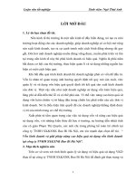 Vốn kinh doanh và giải pháp nâng cao hiệu quả sử dụng vốn kinh doanh tại công ty TNHH SXXNK bao bì hà nội 