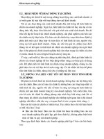 Khoá Luận Tốt Nghiệp Phân Tích Tình Hình Tài Chính