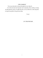 Xây dựng chiến lược kinh doanh công ty cổ phần hóa dầu và xơ sợi dầu khí giai đoạn 2016 2020 