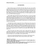 Giải Pháp Nâng Cao Hiệu Quả Cho Vay Trung Dài Hạn Đối Với DNNN Tại Chi Nhánh NHCT Ba Đình