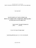 Nguồn nhân lực chất lượng cao trong sự nghiệp công nghiệp hóa, hiện đại hóa ở tỉnh thái nguyên hiện nay 