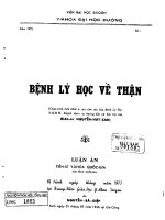 Bệnh lý học về thận luận án 