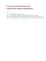 5.5 PHÂN LOẠI DÒNG MÁU MẠCH VÀNH (TIÊU SỢI HUYẾT TRONG THỬ NGHIỆM NMTC)