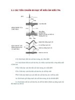 3.1 CÁC TIÊU CHUẨN ĐO ĐẠC VỀ SIÊU ÂM KIỂU TM