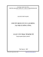 Chuyển dịch cơ cấu lao động tại thị xã sông công 