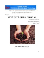 Bài tiểu luận xử lý đất ô nhiễm phóng xạ 
