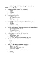 TỔNG HỢP CÂU HỎI VỀ NỘI DUNG ĐA ỐI