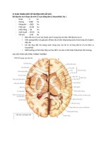 CT SCAN TRONG một số TRƯỜNG hợp cấp cứu