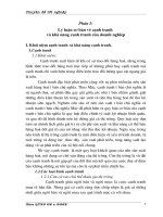 Phân Tích Thực Trạng Khả Năng Cạnh Tranh Của Công Ty Dệt 8 - 3