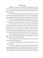 MỘT số đặc điểm về DỊCH tế, lâm SÀNG và CHỨC NĂNG THÔNG KHÍ PHỔI ở NGƯỜI mắc COPD tại  xã KIẾN THIẾT – TIÊN LÃNG – hải PHÒNG năm 2015 