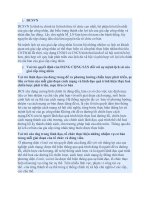 giai cấp công nhân dưới sự lãnh đạo của đảng