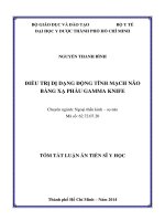 ĐIỀU TRỊ dị DẠNG ĐỘNG TĨNH MẠCH não BẰNG xạ PHẪU GAMMA KNIFE tt 