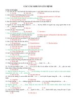 CÁC CẦU KHUẨN GÂY BỆNH