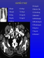 GIẢI PHẪU CT NGỰC 
