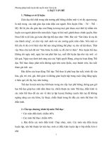 Phương pháp huấn luyện đội tuyển môn vật tự do 