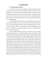 Phân tích một số chỉ tiêu tài chính và biện pháp nâng cao hiệu quả hoạt động tài chính tại công ty cổ phần thương mại và dịch vụ 3d 