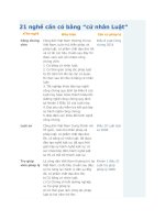 21 NGHỀ cần có BẰNG cử NHÂN LUẬT (co vien dan can cu phap ly)