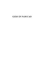 giáo án tác giả nam cao