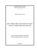 Hoàn thiện chiến lược kinh doanh cho công ty cổ phần hóa chất việt trì