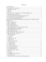 Đánh giá tình hình thực hiện đề án xây dựng nông thôn mới tại xã Cốc San huyện Bát Xát tỉnh Lào Cai